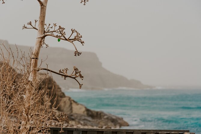 North Central Fuerteventura - Tour with photo shoot - What Previous Travelers Say