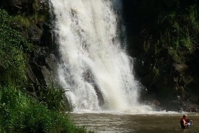North Shore day,Waterfalls and Turtles Tour - Turtle Watching and Beach Relaxation