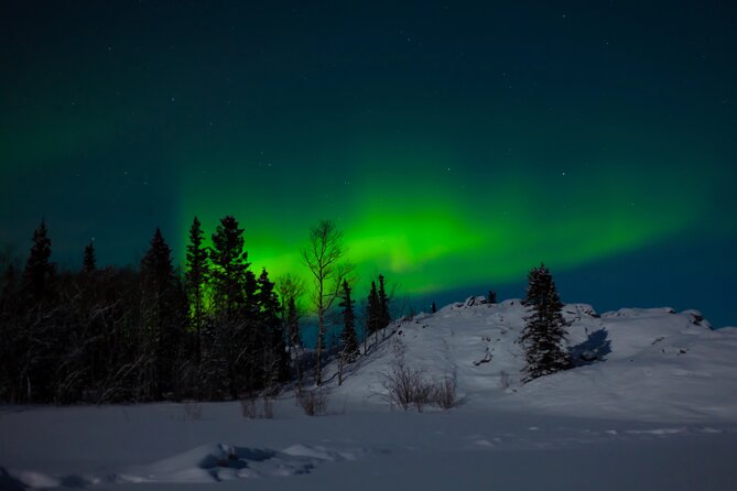 Northern Lights Hunting of Rovaniemi - Who Will Love This Experience?