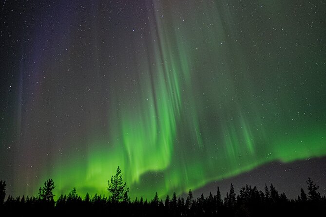 Northern Lights Hunting with a photographer (Only small groups) - Who Is This Tour Best For?