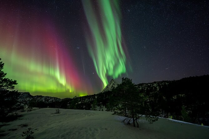 Northern Lights Tours Bodo Norway - Final Thoughts: Is It Worth It?