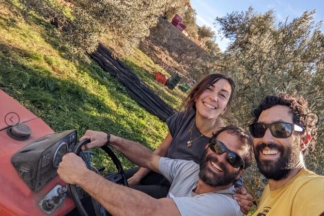 Olive Oil Half Day Private Experience from Granada - Why This Tour Is Worth It