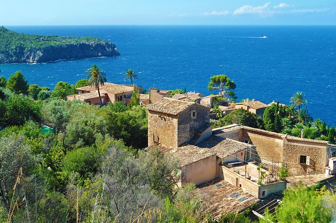 Palma de Mallorca Shore Excursion: Palma, Deia and Sa Foradada - Final Thoughts