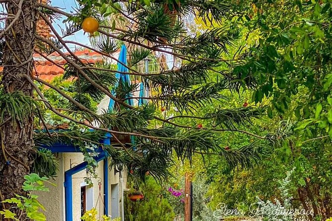 Perfect Day Trip to Beautiful Lefkara tour from Limassol. - Real Experiences from Previous Travelers