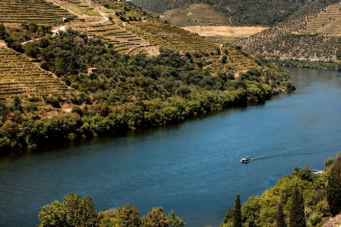 Pinhão: 4 hours Douro River Cruise with Lunch Included - What the Reviews Say