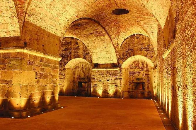 Pisa, Lucca & Winery Private Tour from Livorno port - Authentic Experiences and Special Insights
