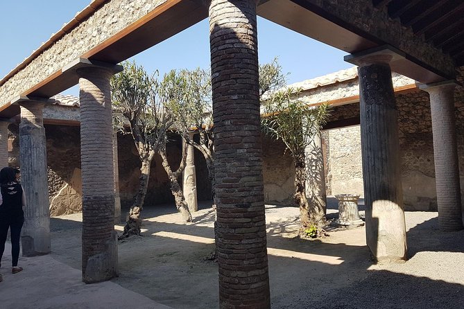 Pompeii and Naples From Rome: Private Full-Day Tour with Lunch - FAQ