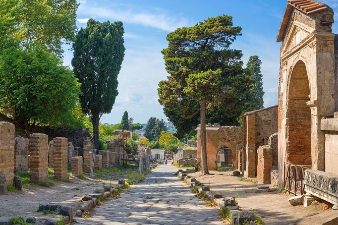 Pompeii & Naples Tour from Rome by Train, Includes Lunch - Transport and Logistics