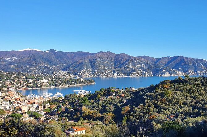 Portofino and Santa Margherita Private Tour of Ligurian Gems - Practical Details and What You Get