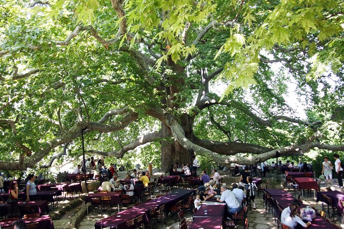 Premium Bursa and Uludag Tour - (Breakfast-Lunch Included) - Who Is This Tour Best Suited For?