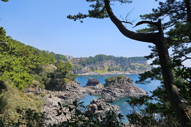 Private 2Days Tour a lot of Experience Driver in jeju island - What Makes This Tour Stand Out?