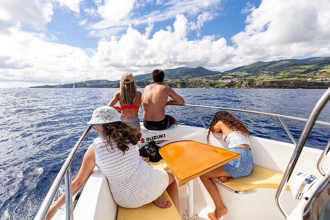 Private boat tour of the islets in Vila Franca do Campo - Who is This Tour Best For?