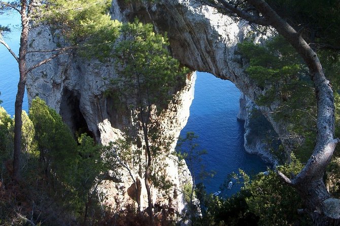 Private Capri Blue Grotto No Stress Tour with Kids from Sorrento - Price and Value