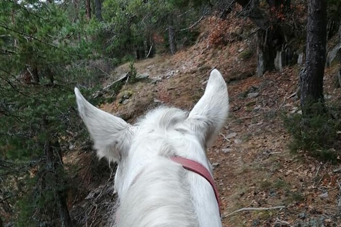 Private Cascades Waterfall Horseback Riding Tour from Smolyan - FAQs About the Cascades Waterfall Horseback Riding Tour from Smolyan