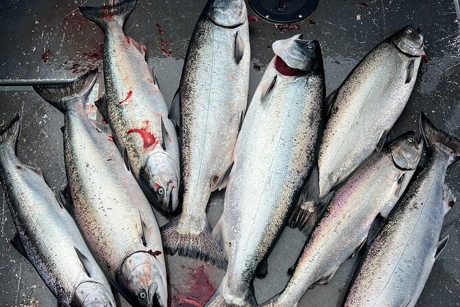 Private Charter Fishing - Full Port Time for Cruise Ship Guests - What Past Travelers Say (Based on Available Reviews)