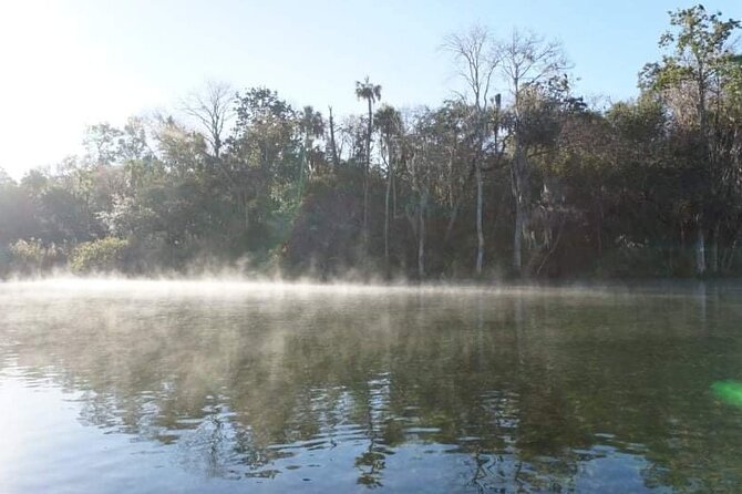 Private Chassahowitzka River Exploration kayak tour - The Experience from Past Guests