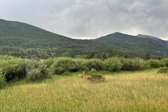 Private Colorado Springs City Tour from Denver - FAQ