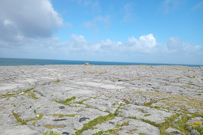 Private Day Tour Cliffs of Moher from Dublin - Transportation and Comfort