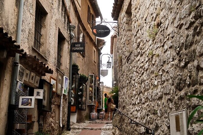 Private day trip from Cannes to Eze & Monaco with a local driver - Practicalities and Considerations  