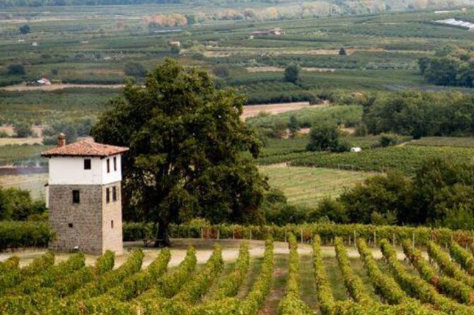 Private Day Trip from Thessaloniki to Vergina, Naousa, and Edessa - Authentic Experiences and Genuine Insights