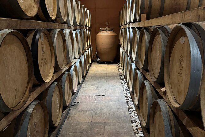 Private Daytrip for Truffle Mushroom Foraging and Wine Tasting - The Sum Up: Who Should Consider This Tour?