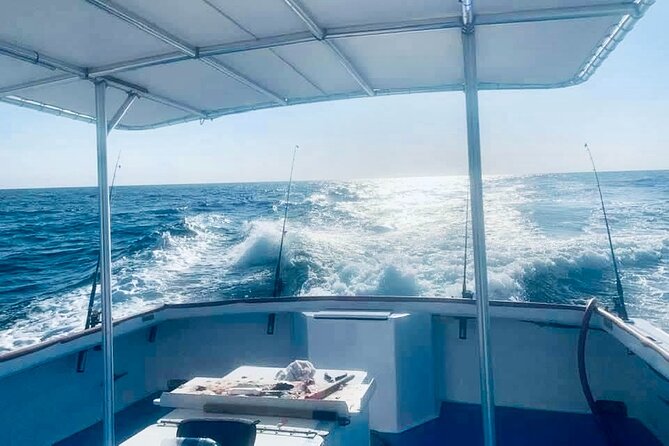 Private Dolphin Cruise in Panama City Beach - The Experience and Amenities