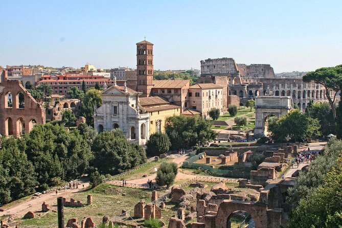 Private Exclusive Tour of the Colosseum and Ancient Rome - Real Insights from Previous Travelers