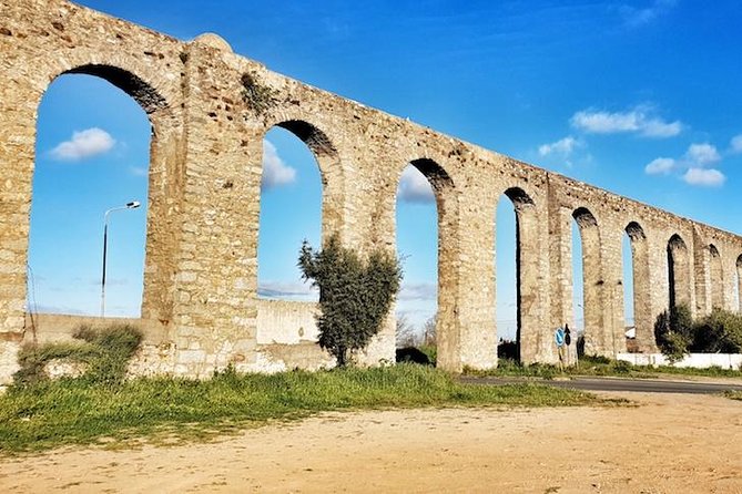 Private excursion for 1 to 8 people: the city of Évora and its monuments - Practical Details: Comfort, Flexibility, and Value