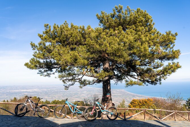 Private Guided E-Biking Tour on Mount Olympus - Authentic Insights From Past Travelers