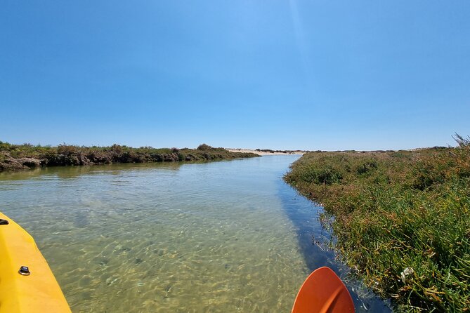 Private Guided kayak Tour/Birdwatching/Nature Tour. - Deep Dive into the Itinerary & Practical Details