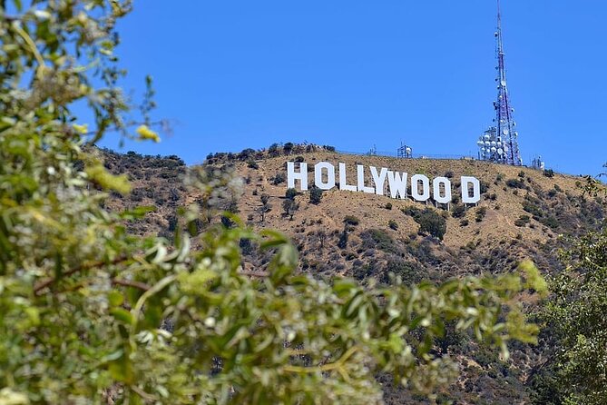 Private, Guided Tour: Hollywood and Celebrity Tour - Who Should Consider This Tour?