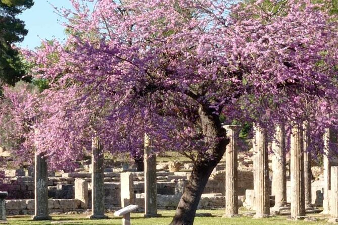Private Guided Tour of the Archaeological Site and Museum of Olympia - Authentic Insights from Reviewers