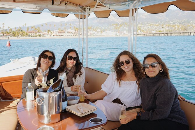 Private Harbor Cruise on Electric Boat in Santa Barbara - Who Will Love This Tour?