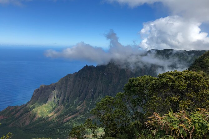 Private Kauai Island Tour : Waimea Canyon, Kalalau Lookout + More - Who Should Consider This Tour?