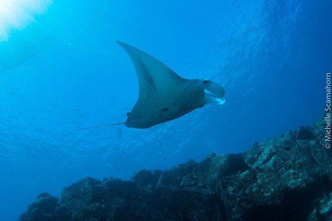 Private Niihau Scenic Snorkel - What to Expect on the Day