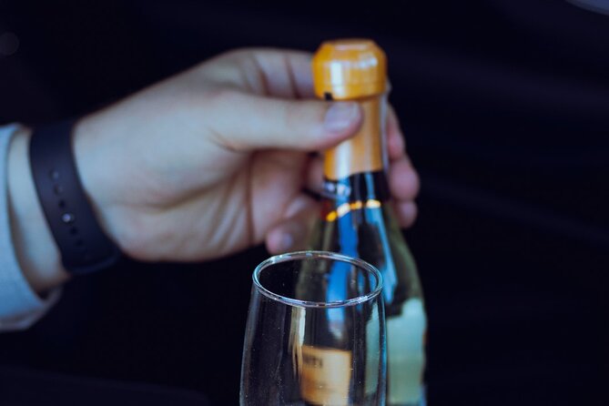 Private One Way Transfer in Sofia - Why Choose TEKO Premium Transfers?