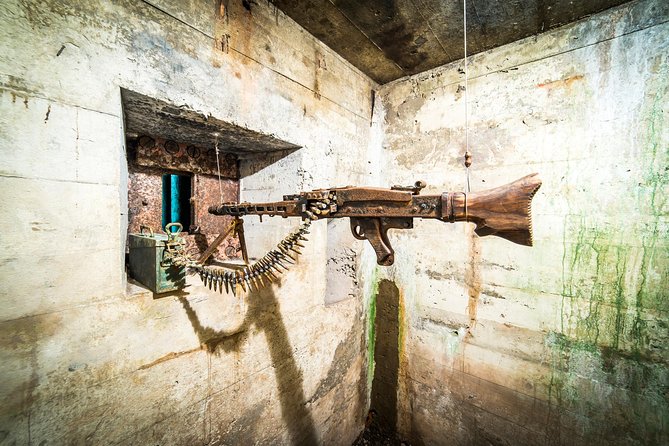 Private Round Trip to Project Riese Including Tickets - Price and Value