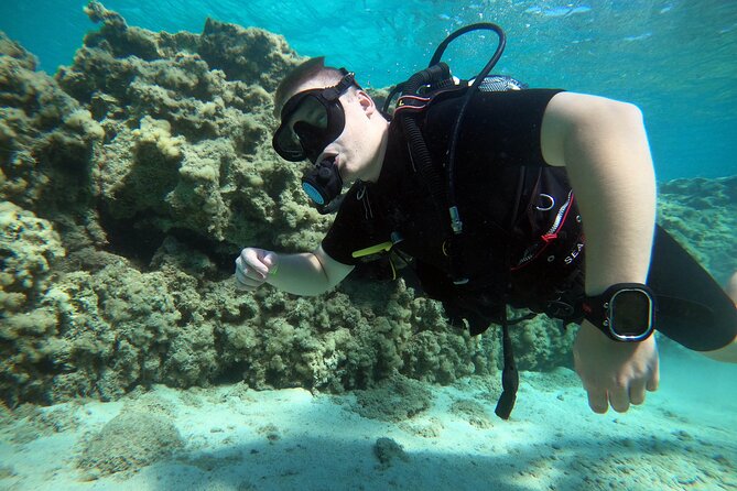 Private Scuba Diving Experience in Cyprus - Breakdown of the Experience