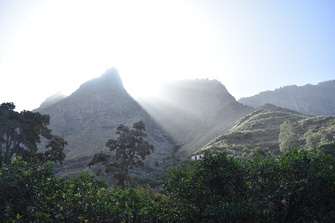 Private Shore Excursion in Gran Canaria - Who Is This Tour Best For?