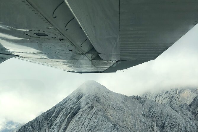 Private Sightseeing Flight around the Bavarian Alps and Munich - Value for Money and Booking Considerations