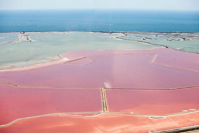 Private Sightseeing Flight over Montpellier and Camargue - Who is this experience best suited for?