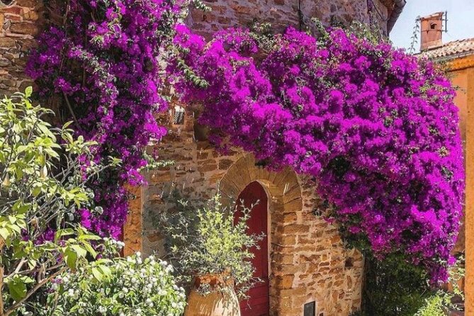 Private Tour from Saint-Tropez to the flowers city - Who Should Consider This Tour?