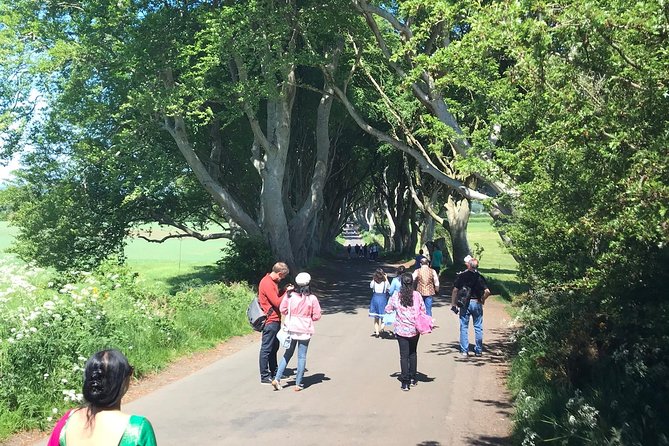 Private Tour - Giants Causeway & 2 Stop Tour - Authentic Insights from Reviews