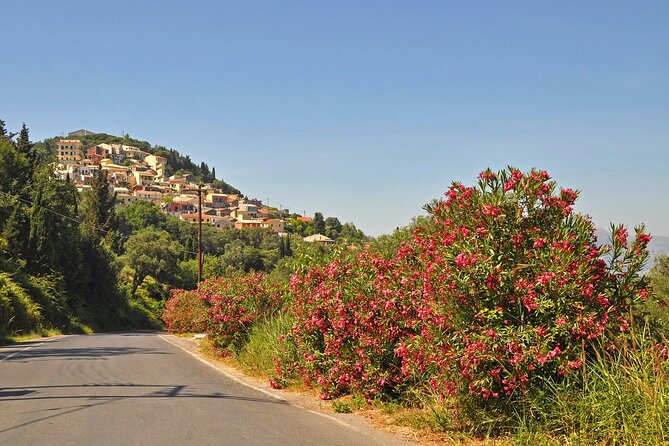 Private Tour in Corfu's Quintessential Highlights - The Practicalities