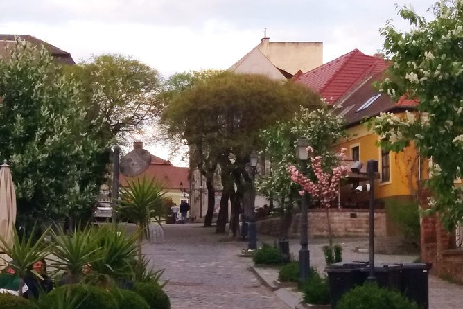 Private tour in Vác by local guide - Magical vibe of an charming baroque town - Practical Details: What You Need to Know