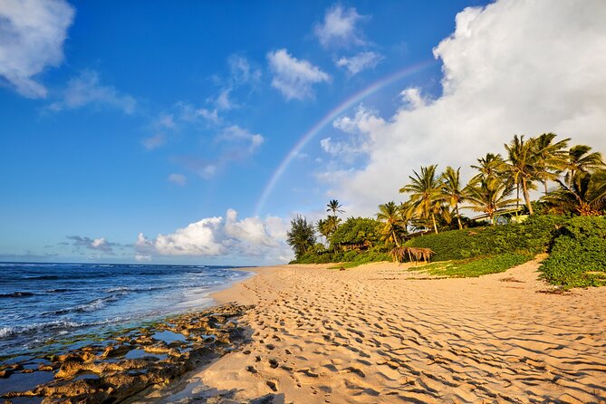 Private Tour Oahu from Honolulu - Who Will Love This Tour?
