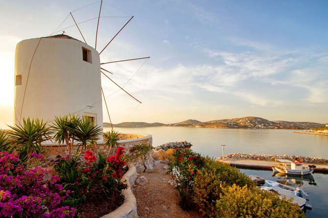Private tour: Paros highlights 6 hours - The Practicalities