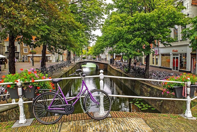 Private Tour The Hague and Delft incl. Mauritshuis from Amsterdam - Who Will Enjoy This Tour?