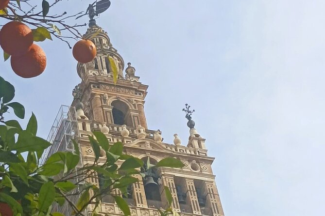 Private Tour with Local Guide to know the Seville Essential - What You’ll Love About This Tour