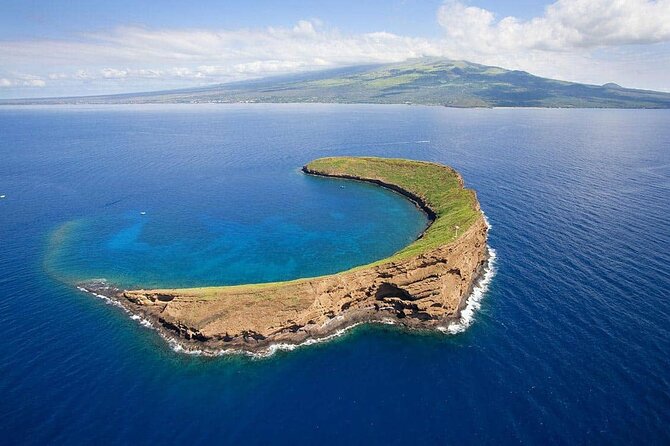 Private Transfer Kahului Airport OGG to Maui Kihei Lahaina Wailea - Who Should Book This Transfer?  